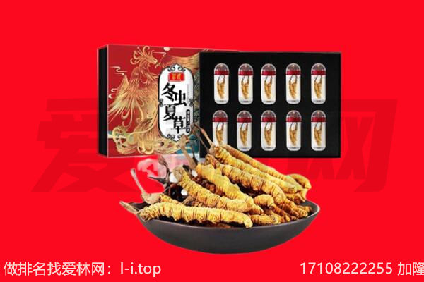 攀枝花市盐边县回收虫草.jpg